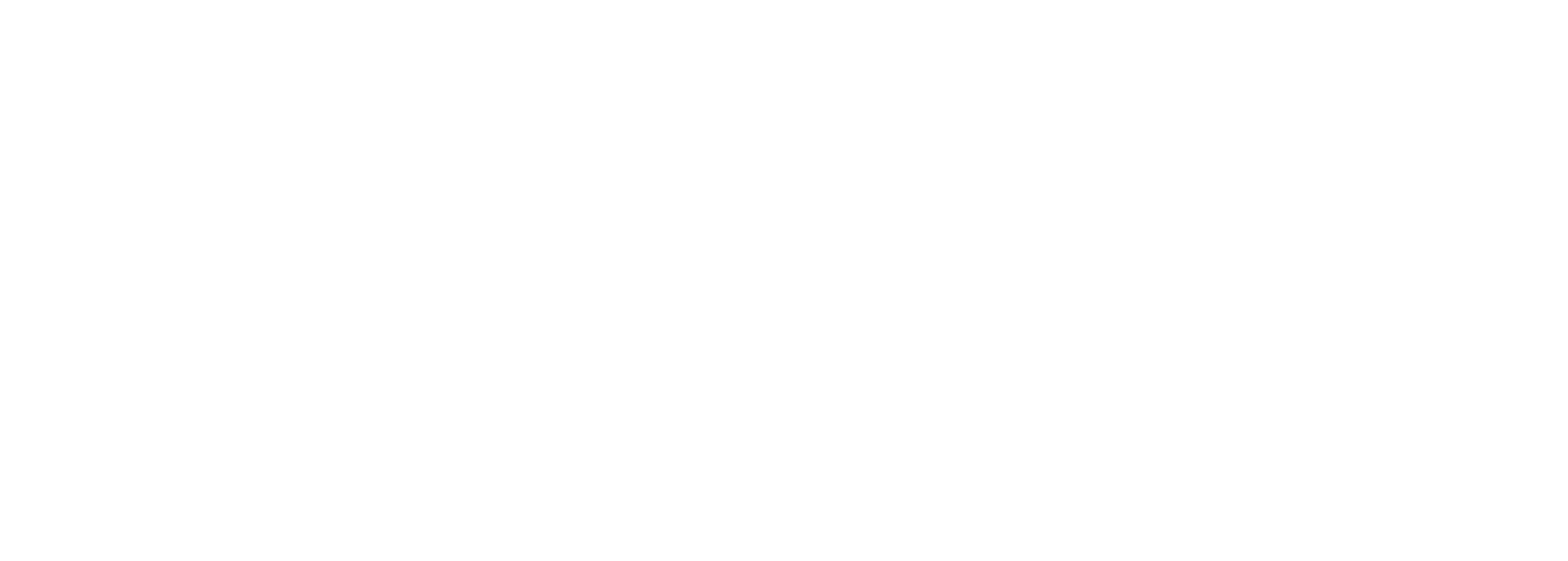 Virtual Worlds Partnership